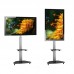 QS01G: Contemporary, Mobile Height Adjustable TV Cart (Portrait or Landscape TV)